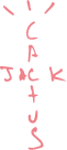 Cactus Jack Logo